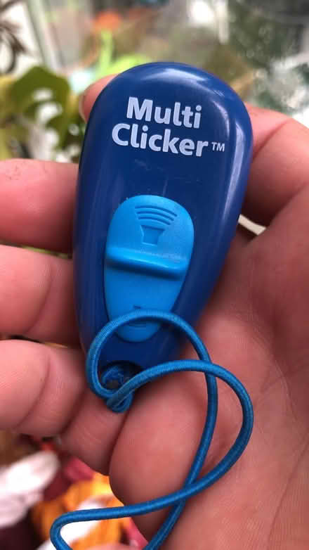 Photo of free Pet training clicker (HP3 Bennetts End) #2