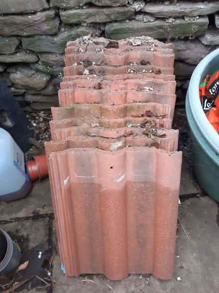Photo of free 2 Roof tiles (Fishponds BS16) #1