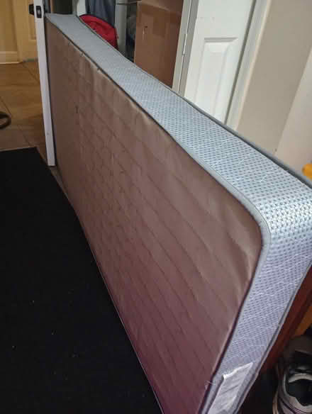 Photo of free Twin Mattress (West Side (32304)) #4