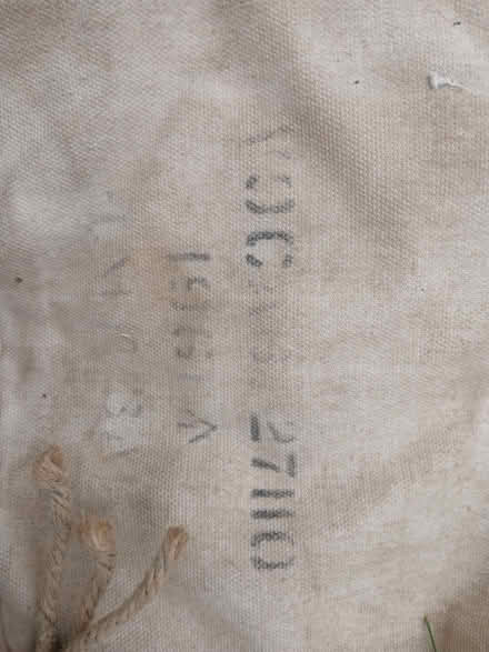 Photo of free Hammock (Bussage GL6) #2