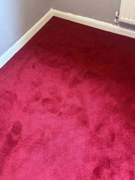 Photo of free New carpet offcut - 1.6m x 2.3m (Wollaton NG8) #1