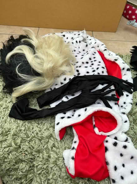 Photo of free Fancy dress (Haydon TA1) #1