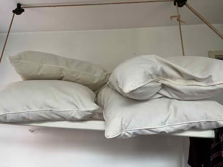 Photo of free Feather pillows x 4 (Moseley B13) #1