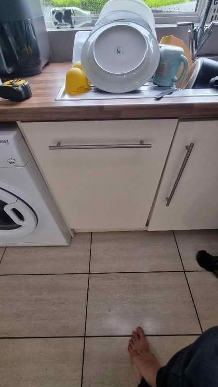 Photo of free Indesit Integrated Dishwasher (Slimline) (Roughcote ST3) #3