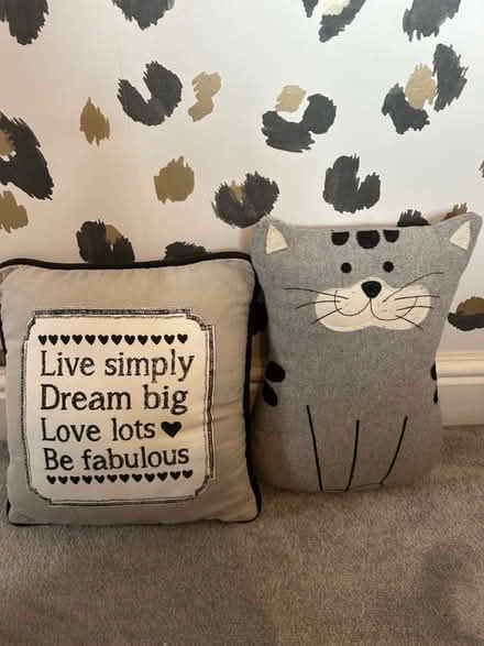 Photo of free X 2 grey cushions (Worcester) #1