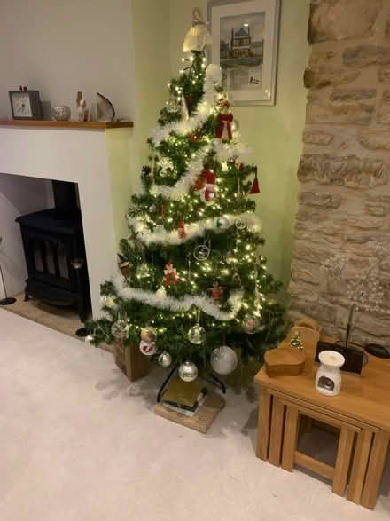 Photo of free Good Xmas tree (Nailsworth) #2