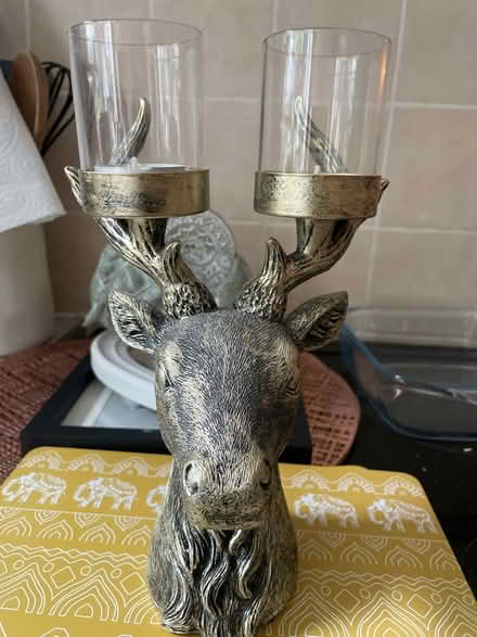 Photo of free Stag candle holder (Garston WD25) #1