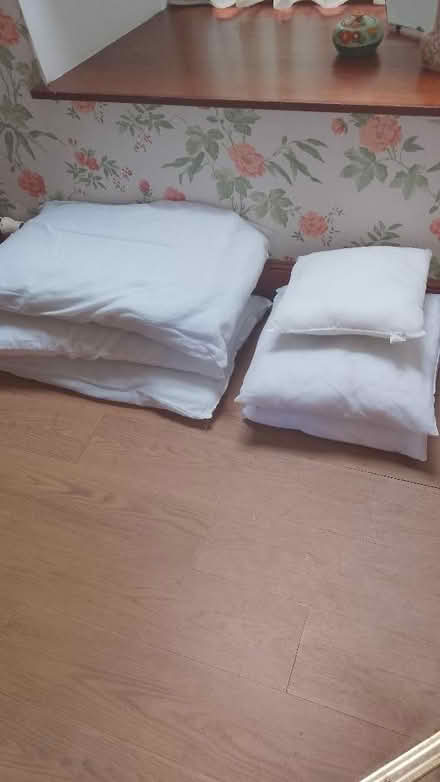 Photo of free Pillows and cushions (Huntly AB54) #1