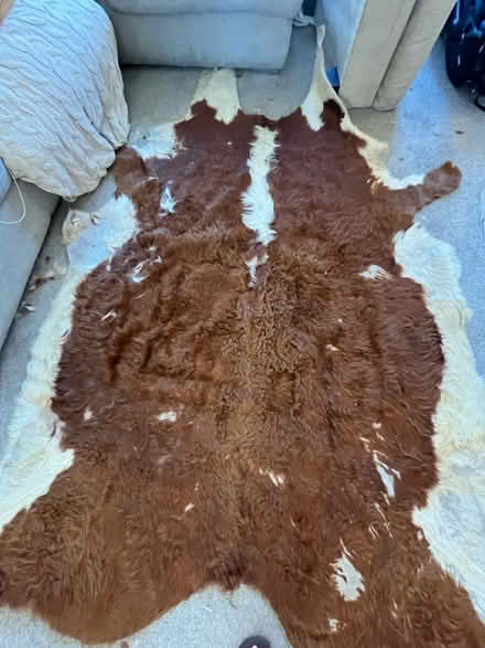 Photo of free Cow hide rug (SK16) #1