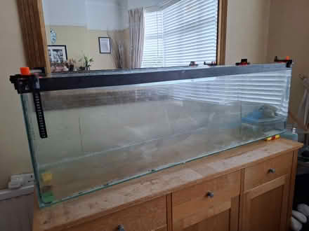 Photo of free Bare 4ft fish tank (Prenton CH43) #1