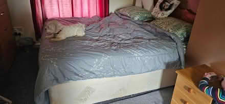 Photo of free Super king size bed & mattress (Beaumont LA1) #1