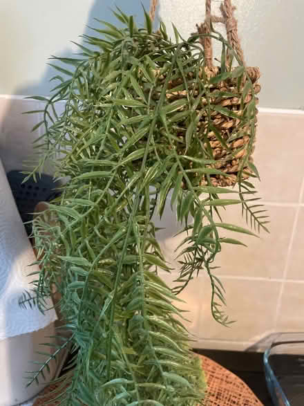Photo of free Faux plants (Garston WD25) #2