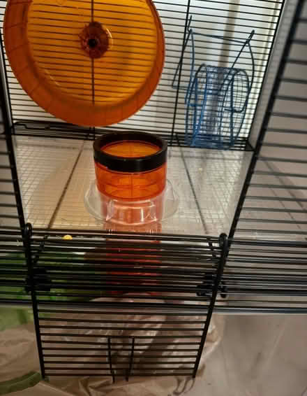 Photo of free Hamster cage, ball and supplies (Eldridge North) #2