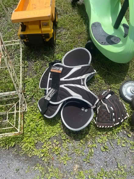 Photo of free toys, pool & garden-Spackenkill (Poughkeepsie, NY) #2