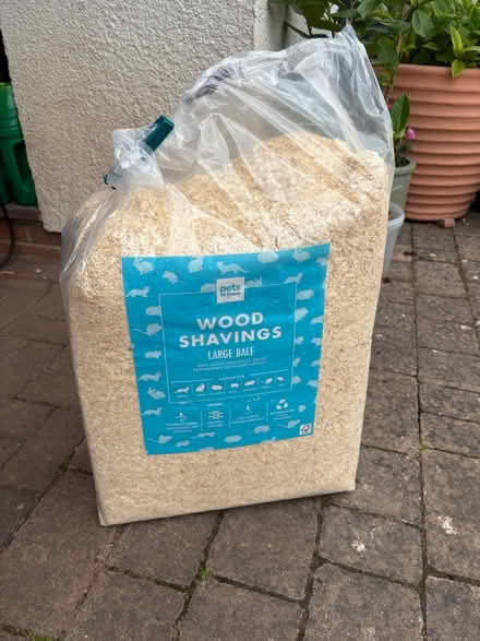 Photo of free Wood shavings for small pets (Backwell BS48) #1