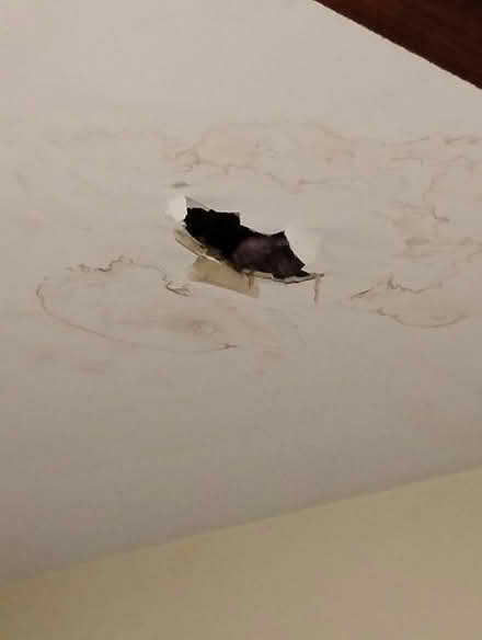Photo of Roof Leak Sheetrock, compound, Tape (Philadelphia) #1