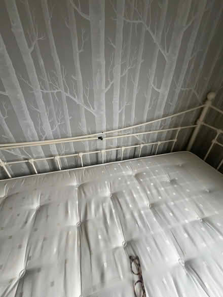 Photo of free Feather & Black iron day bed with trundle and top mattress. (Ravenscourt Park W6) #4