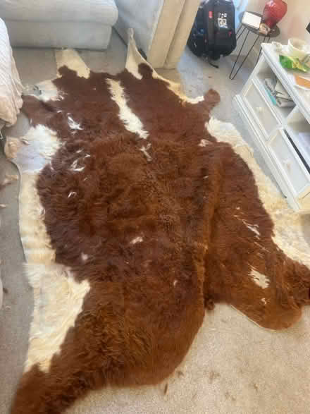 Photo of free Cow hide rug (SK16) #3