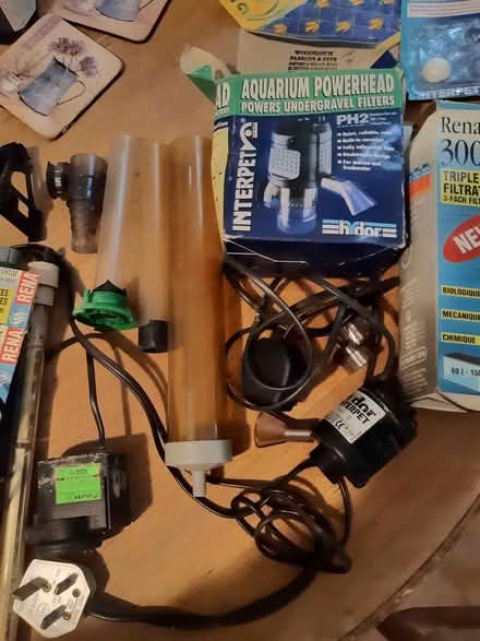 Photo of free Things for aquarium (Reigate RH2) #2