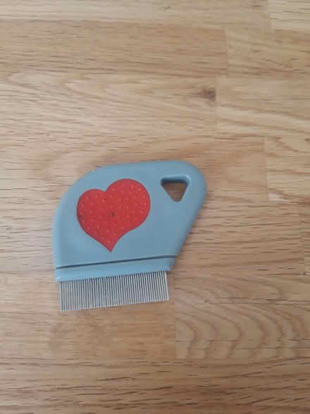Photo of free Nit comb (Bampton OX18) #1