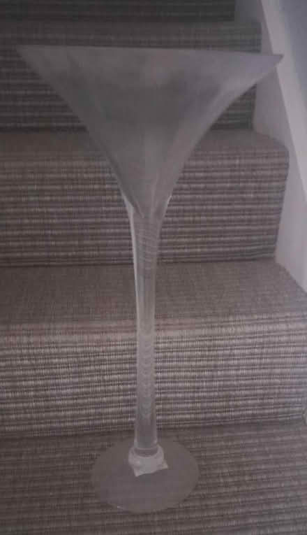 Photo of free Large decorative martini glass (Burgess hill) #1