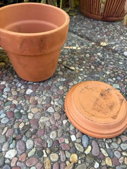 Photo of Terra-cotta pots and saucers (Pleasant Hill) #2