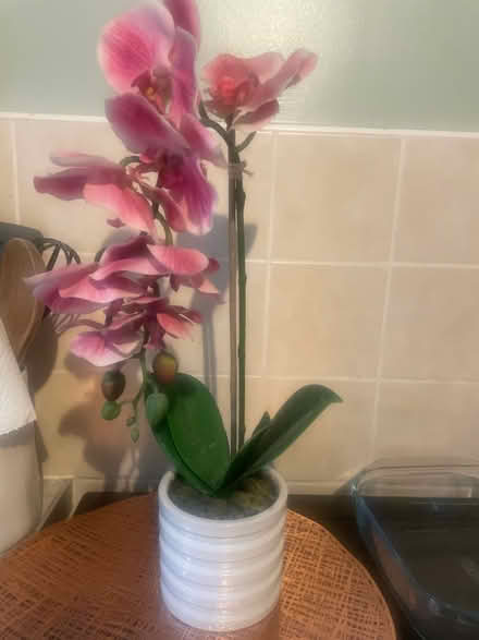 Photo of free Faux orchid plant (Garston WD25) #1