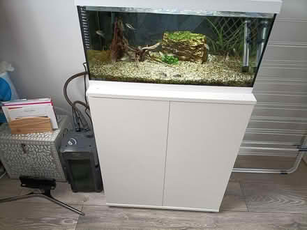 Photo of free Aquarium (BN23) #1
