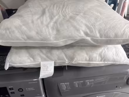 Photo of free Cushion inners (SW11 Battersea) #1