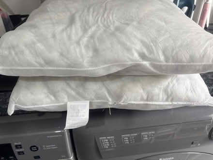 Photo of free Cushion inners (SW11 Battersea) #1