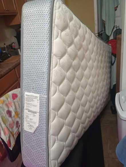 Photo of free Twin Mattress (West Side (32304)) #3