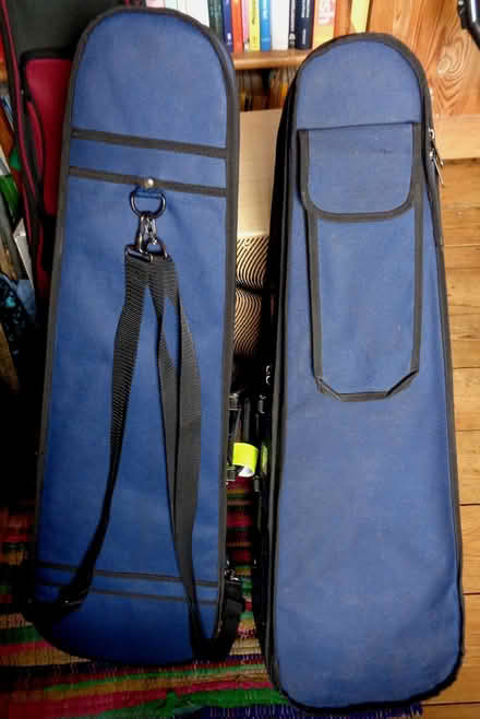 Photo of cases for violins (New Marston OX3) #1