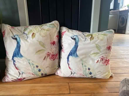 Photo of free Cushions (Flenders G76) #1
