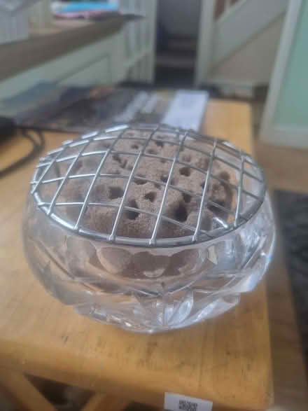 Photo of free Glass Plant Display Pot (ME12) #1