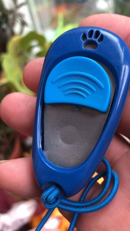 Photo of free Pet training clicker (HP3 Bennetts End) #1