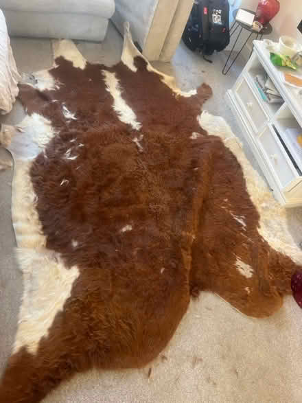 Photo of free Cow hide rug (SK16) #2