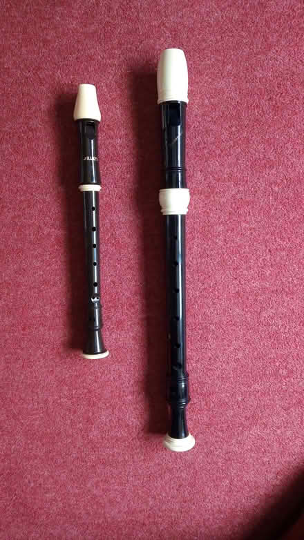 Photo of free Recorders (Hook Heath GU22) #1