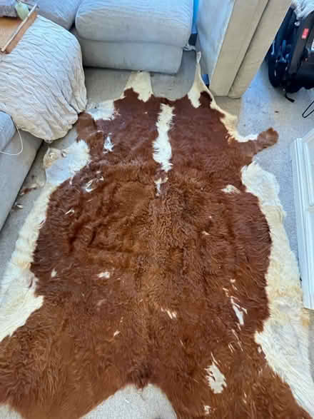 Photo of free Cow hide rug (SK16) #4