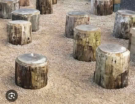 Photo of Logs (W37uj) #1