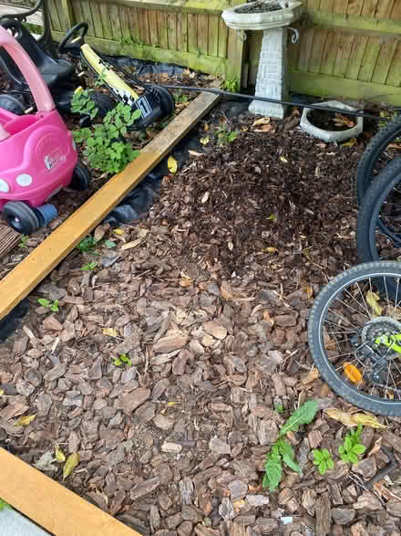 Photo of free Woodchip (Church RG2) #1