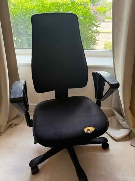 Photo of free Black desk chair (Ascot SL5) #1