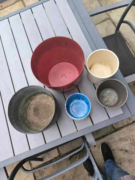 Photo of free Plant pots (Beckenham) #2