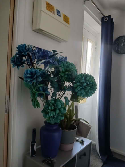 Photo of free Dryed flowers (Monkmoor SY2) #1
