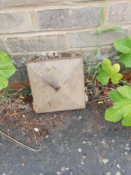 Photo of free Capstone (IP9) #1