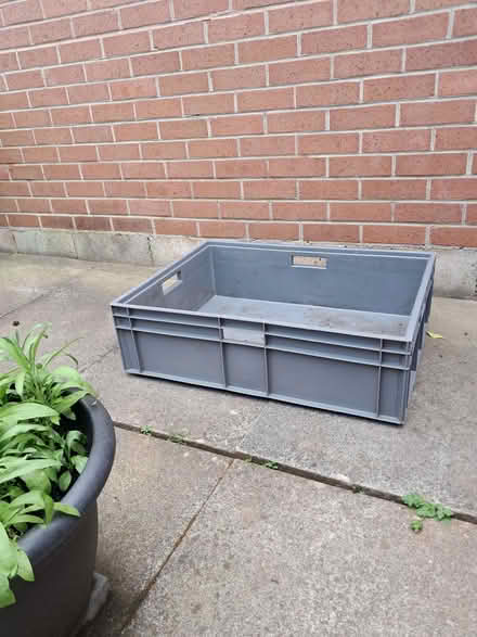 Photo of free Garden Planter/raised bed for plants? (Kimberley NG16) #3