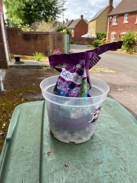 Photo of free Orchid pot and medium (Dursley) #1