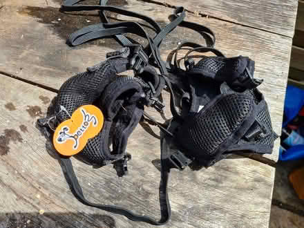Photo of free Two pet harnesses (Biggleswade) #1