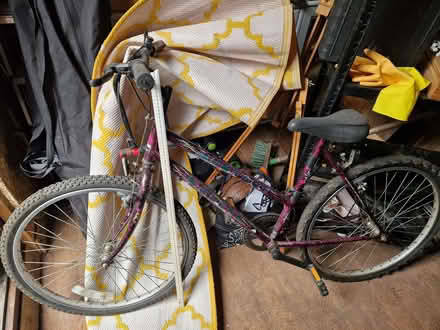 Photo of free Adult bike (Walnut Tree MK7) #1
