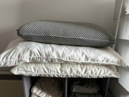 Photo of free 3 pillows (Maryland Station E15) #1