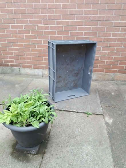 Photo of free Garden Planter/raised bed for plants? (Kimberley NG16) #1